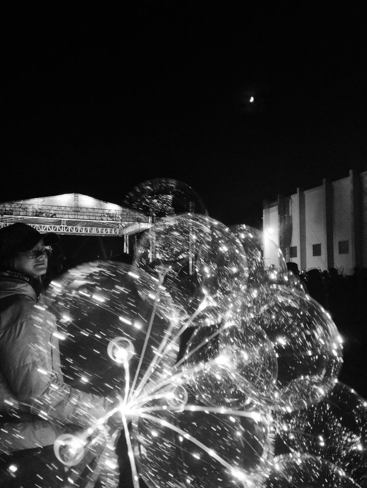 Photo #10725436