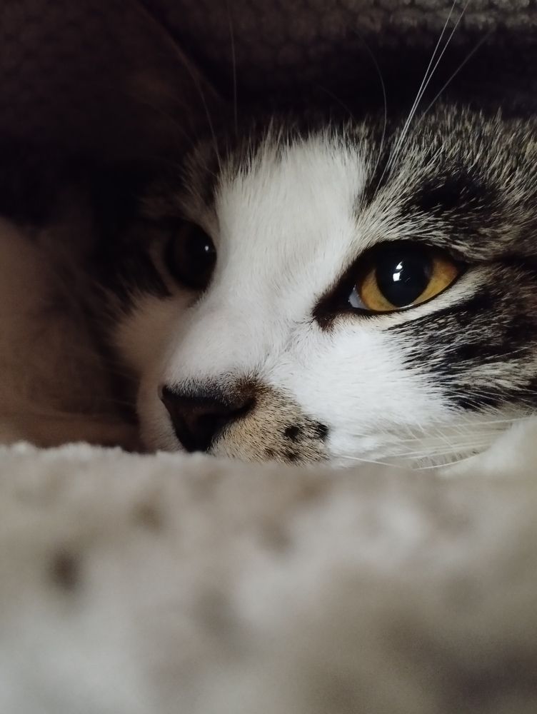 Photograph by Диана Пустынцева