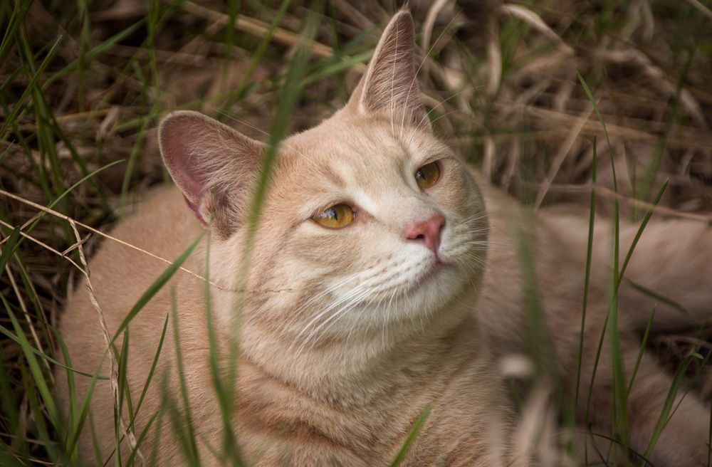 Photograph by Елена Ласун