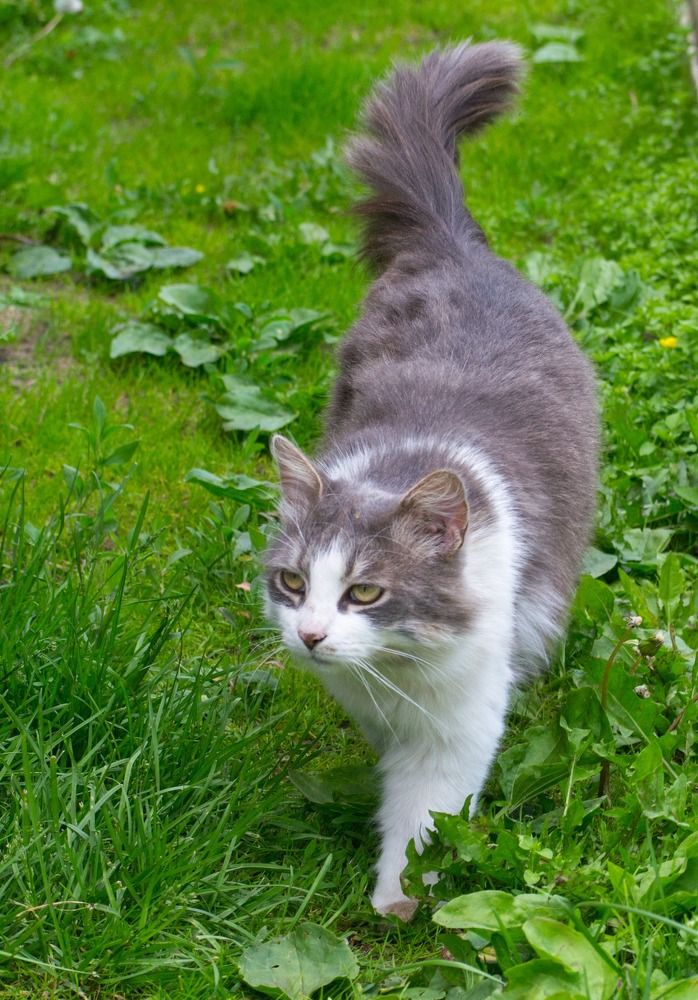 Фотография автора Геннадий Коробов