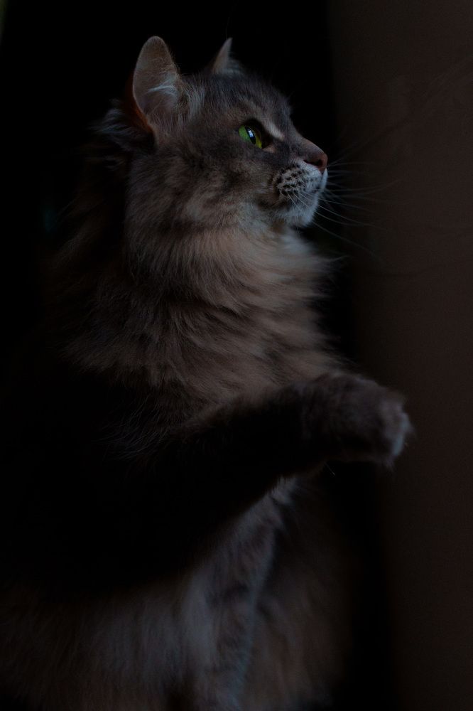 Photograph by Ирина Троицкая