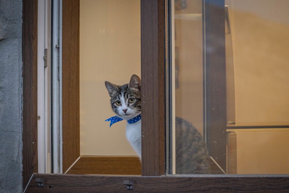 Фотография автора Оксана Белозерская