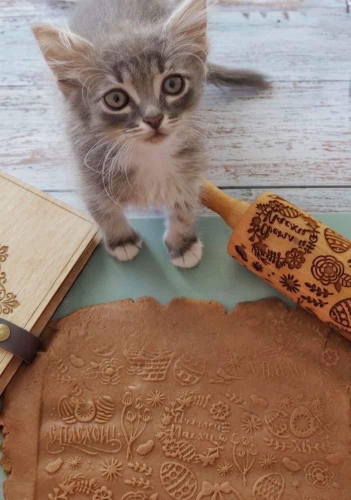 Photograph by Юлия Сизонова