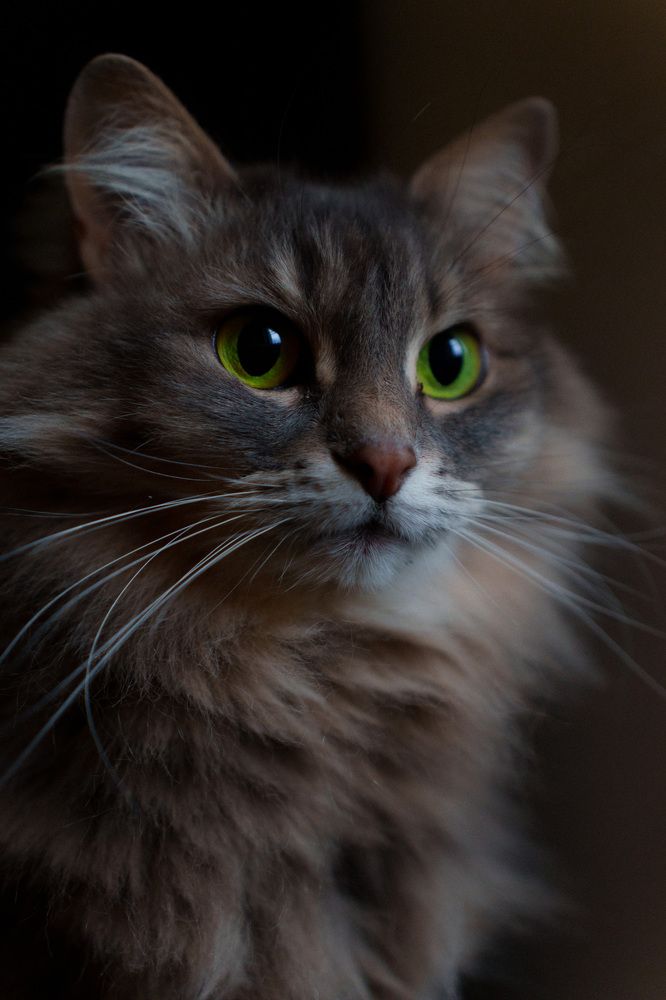 Photograph by Ирина Троицкая