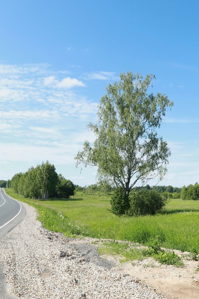 Photograph by Елена Тимченко