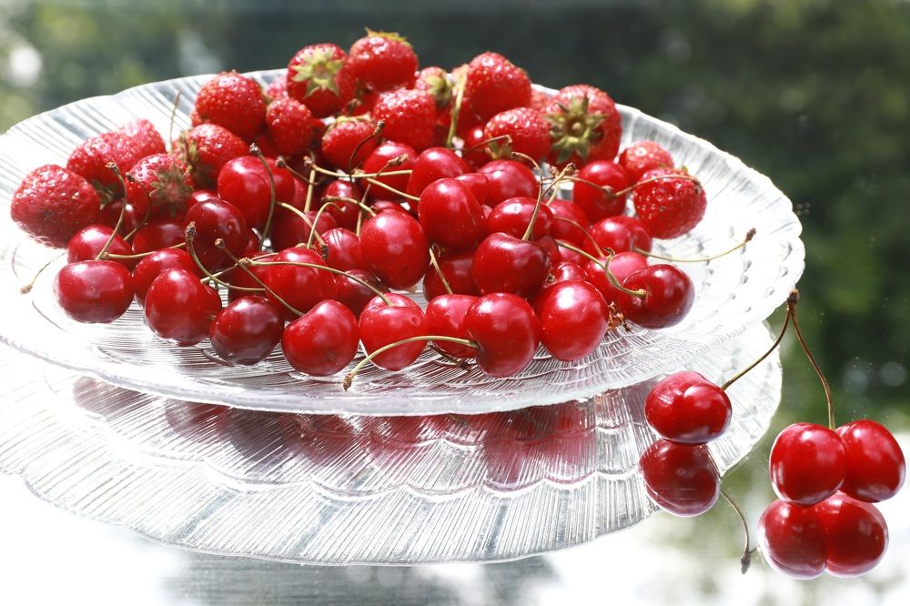 Photograph by Елена Тимченко