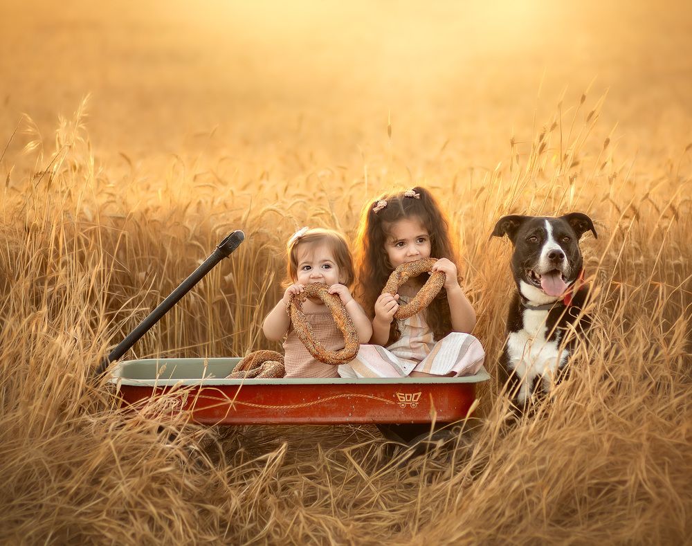 Photograph by Eti Golan