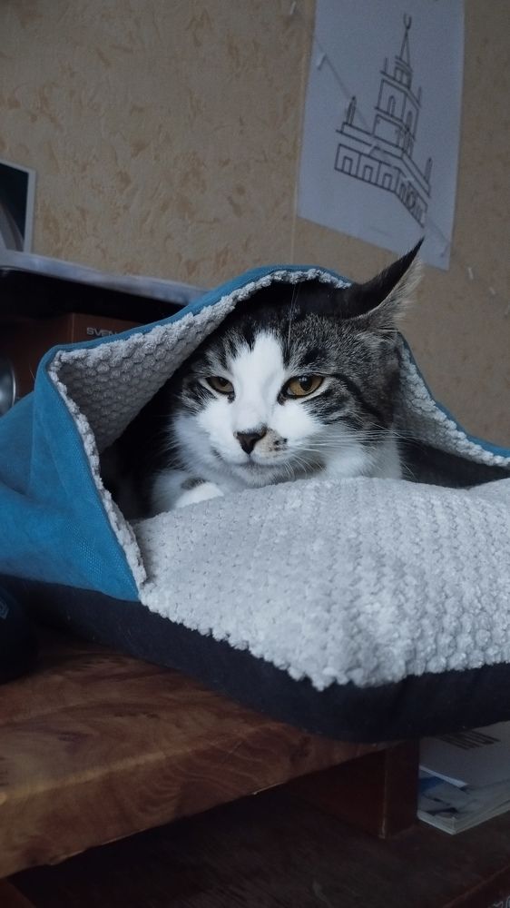 Photograph by Диана Пустынцева