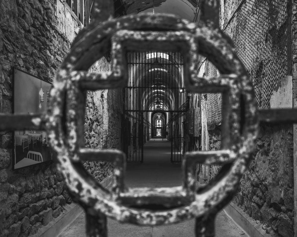 Фотография автора Viktoria Farkas