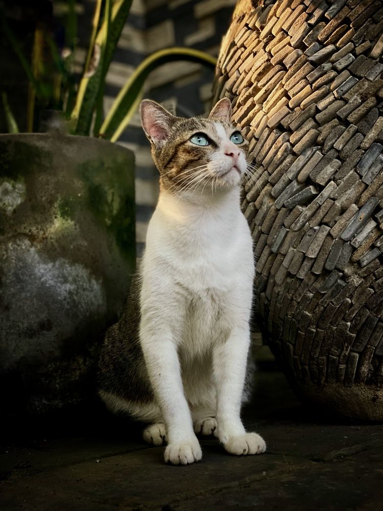 Photograph by Ирина Сорока