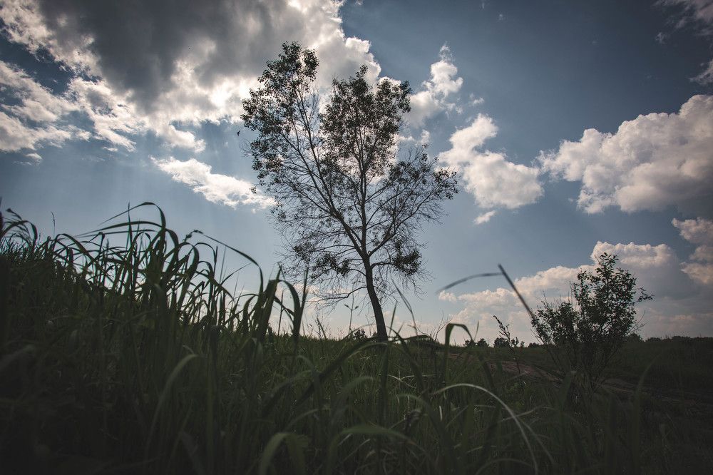 Photograph by Евгений Авдеев