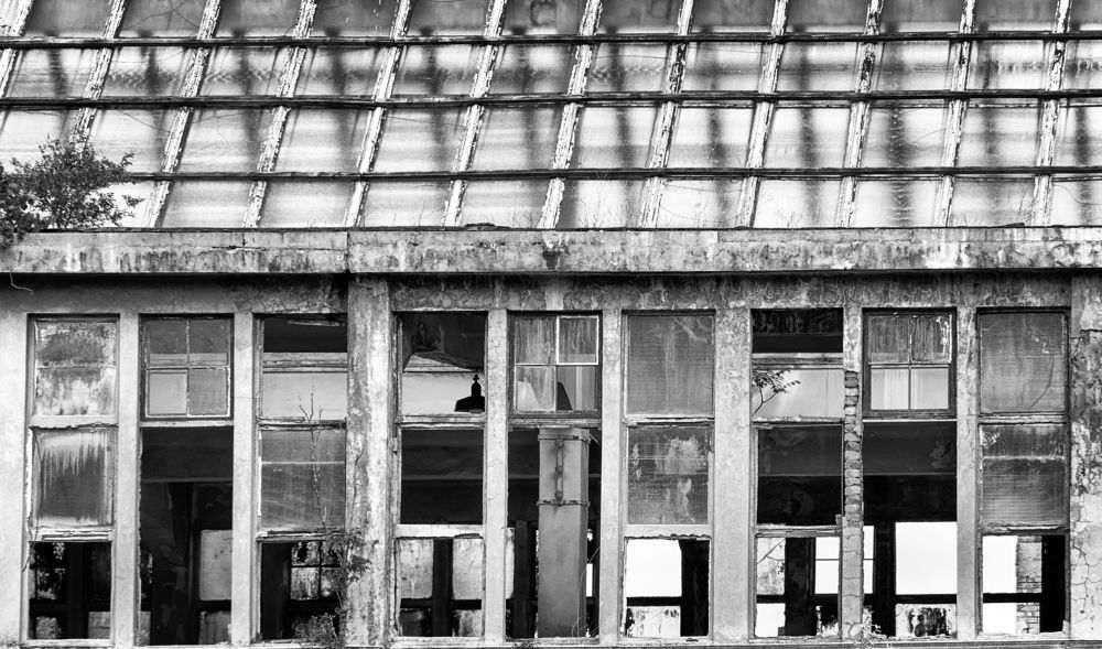 Photograph by Dragan Leles