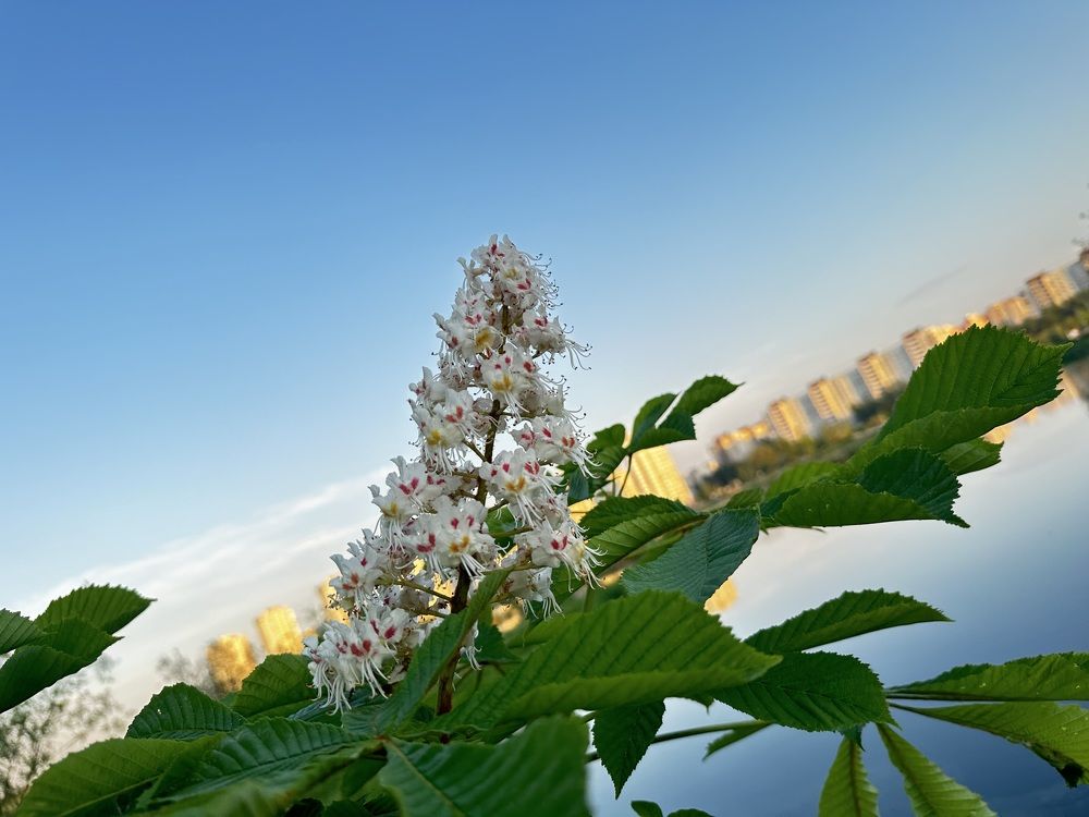 Фотография автора Мария