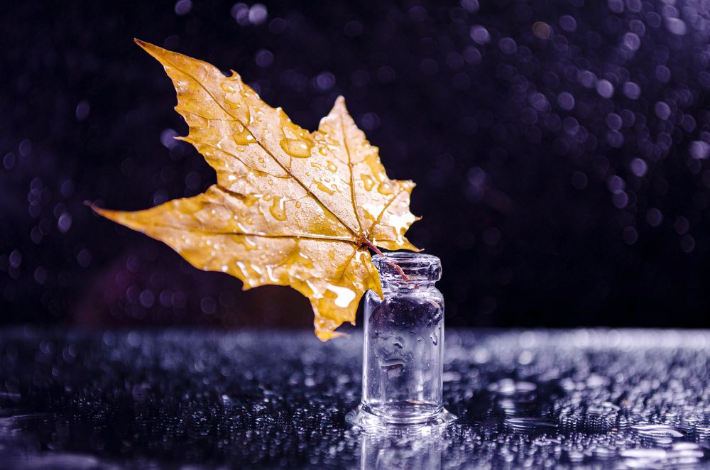 Photograph by Любовь Бусова