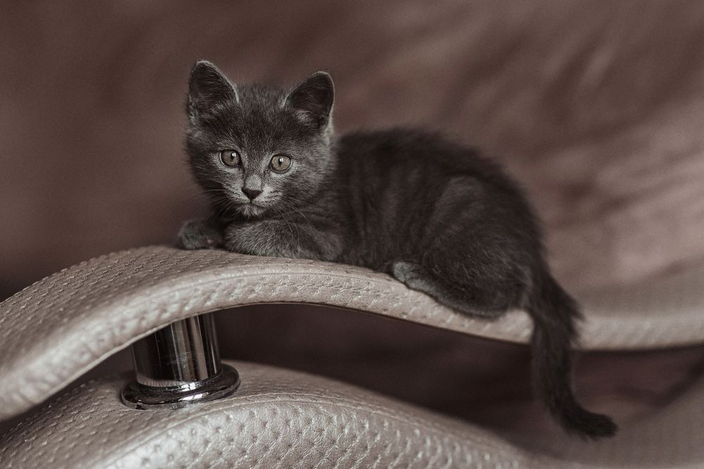 Photograph by Анна Ермоленко