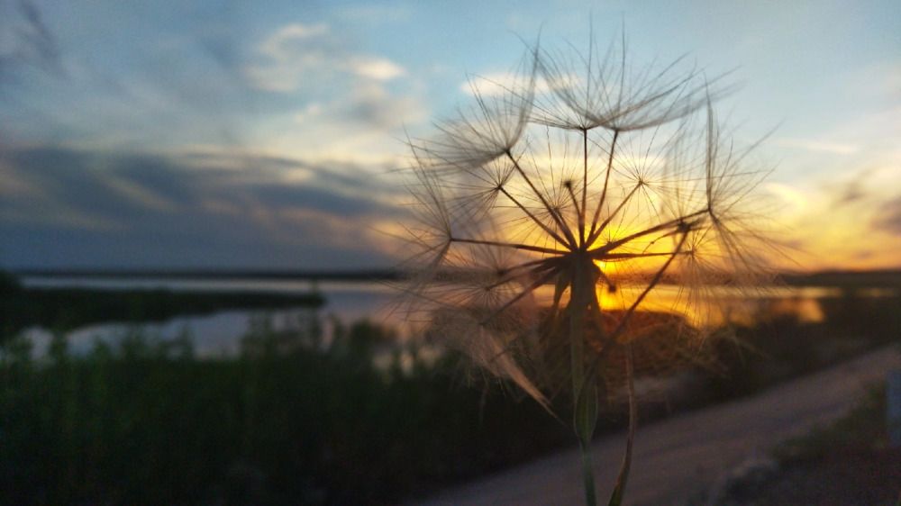 Photograph by Татьяна Копылова