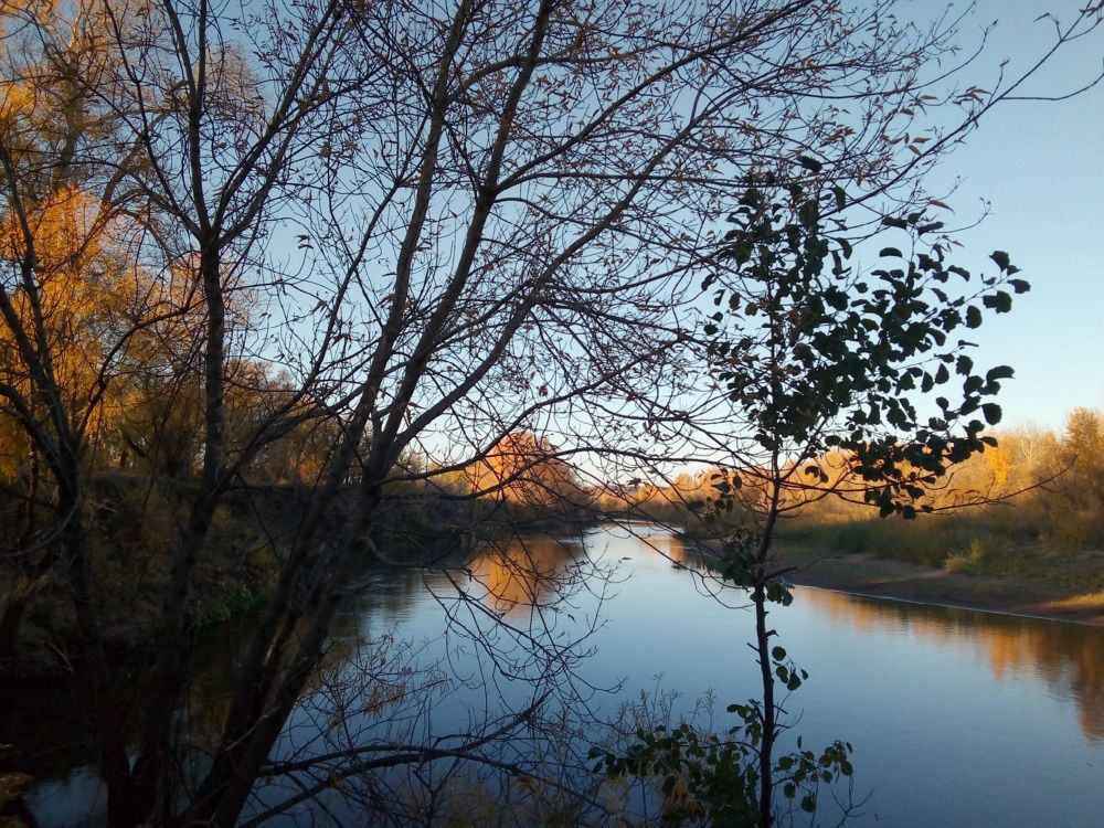 Photograph by Татьяна Копылова