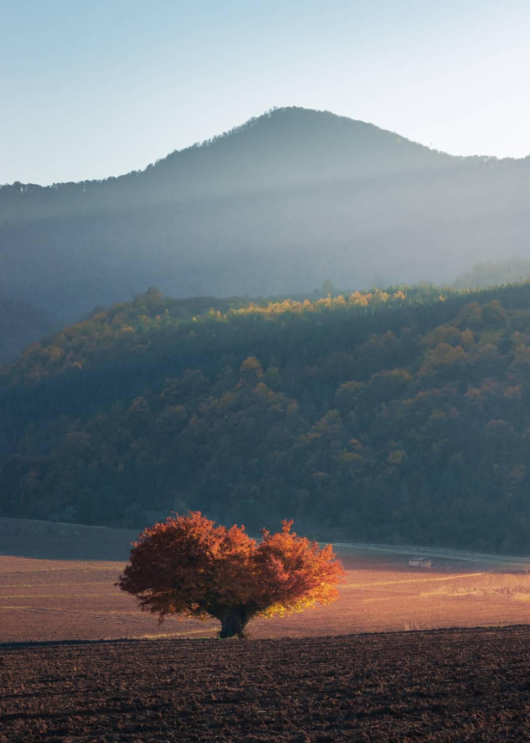 Фотография #10725795