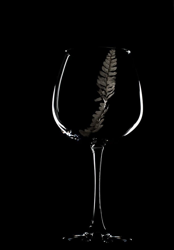 Photograph by Елена Богдан