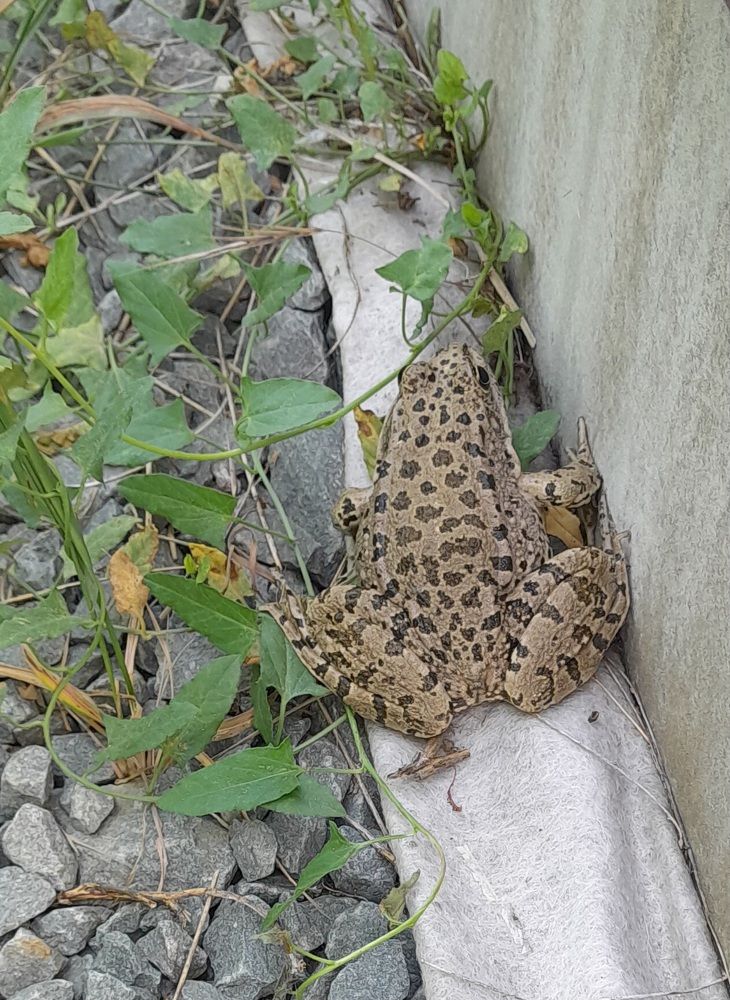 Photograph by Татьяна Ситникова