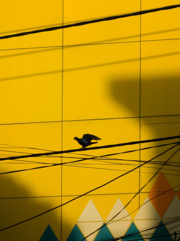 Photograph by Tung Xuan