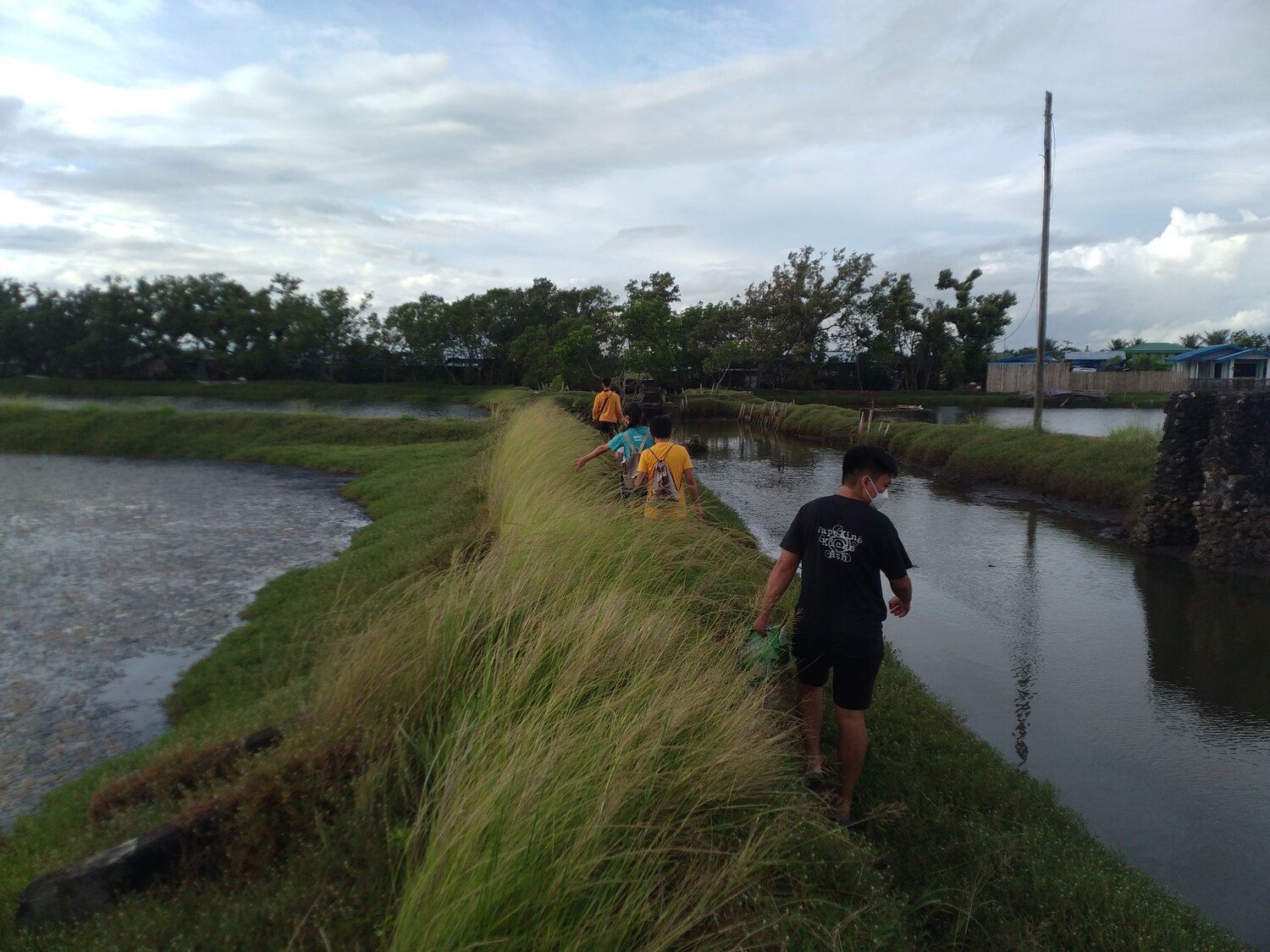 Photo #10725849