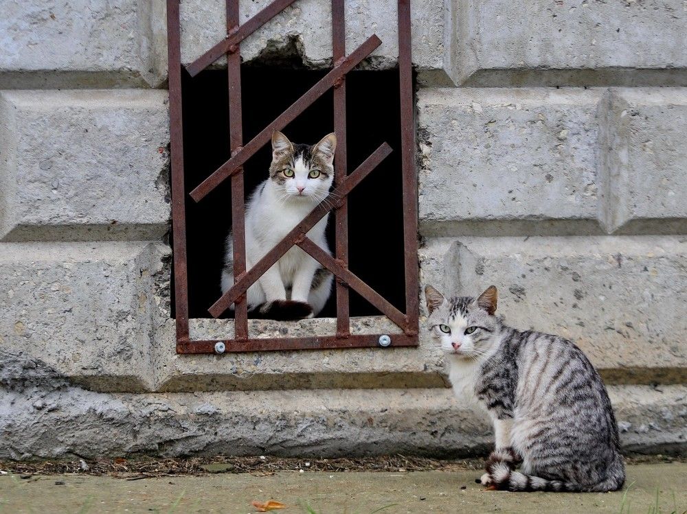 Фотография автора Илья Китаев