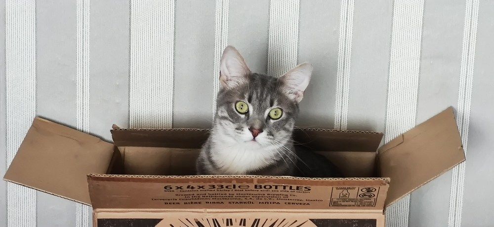 Photograph by Mirela Tortumanova