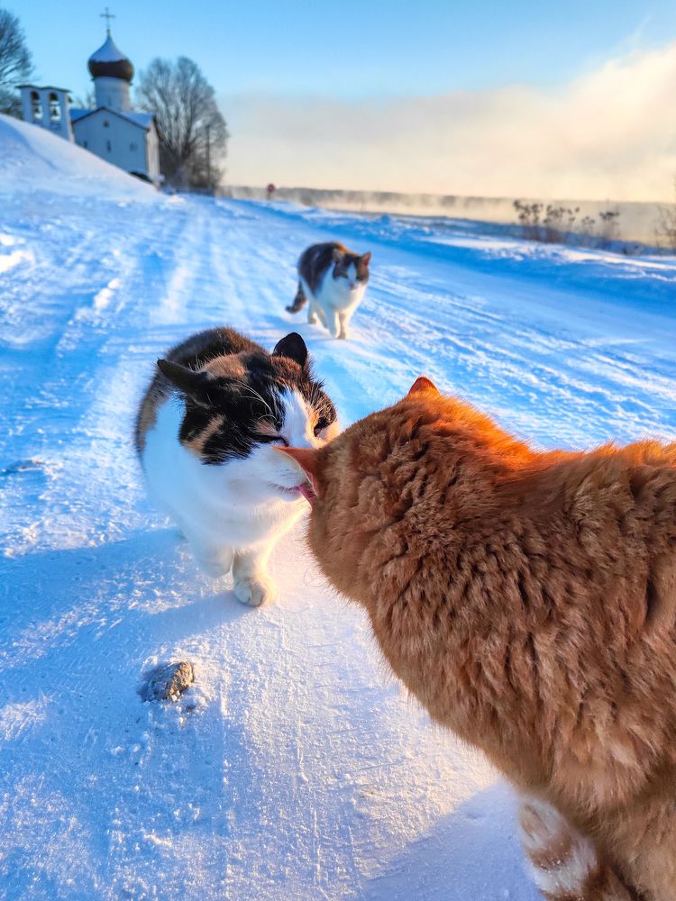 Photograph by Roman Dmitriev