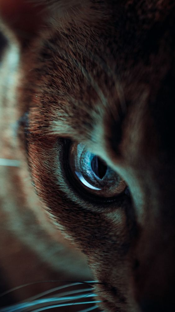 Photograph by Анна Тен