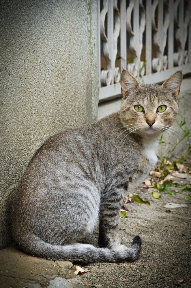 Photograph by Mirela Tortumanova