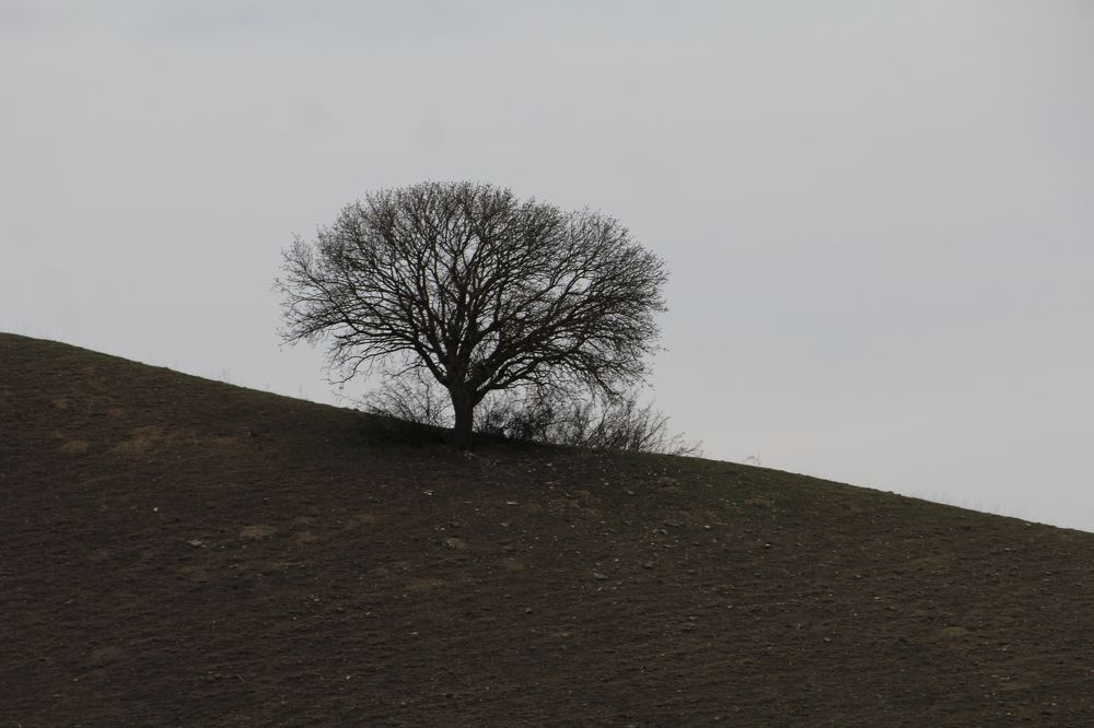 Фотография автора Mariami Sanishvili