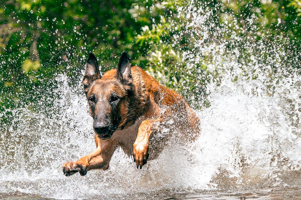 Вода - не преграда!