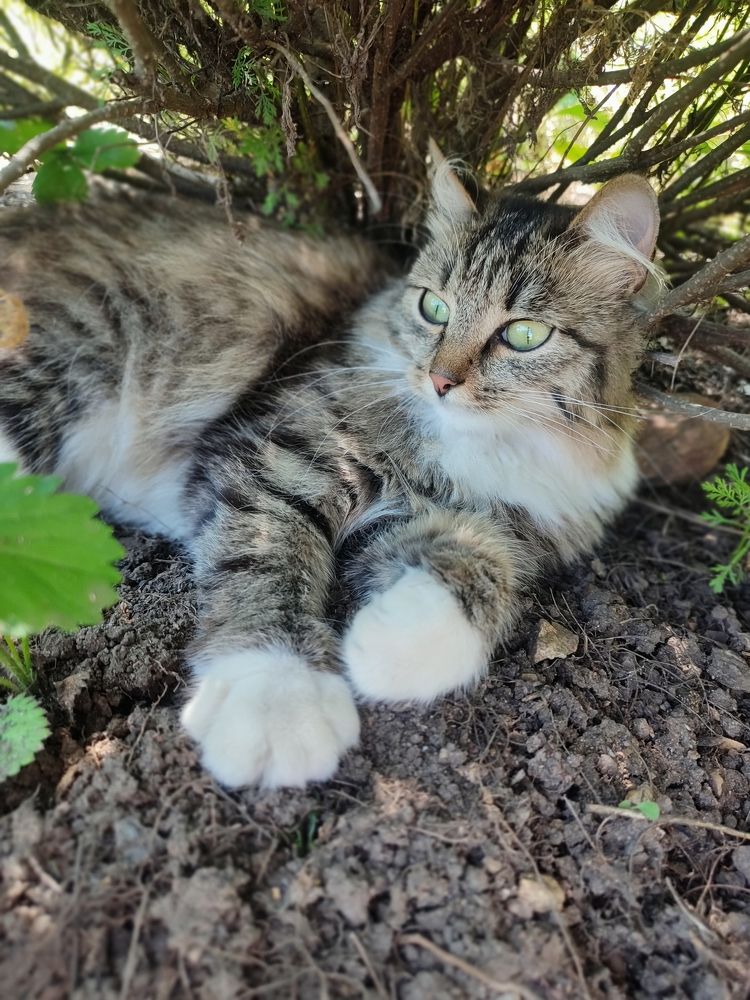 Photograph by Юлия Гинтер