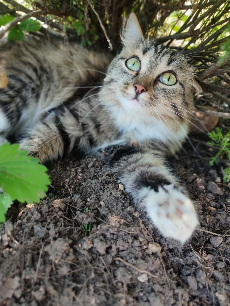 Photograph by Юлия Гинтер