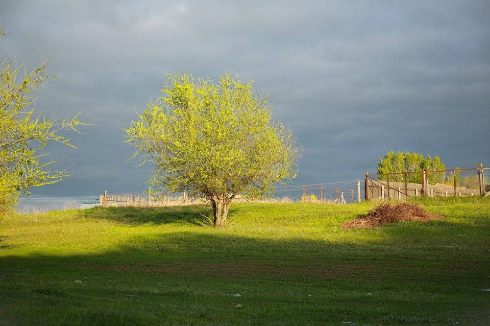 Photograph by Марина Юрченко