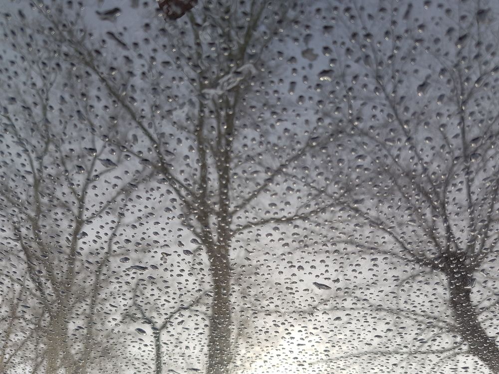 Photograph by Юлия Гринвальд