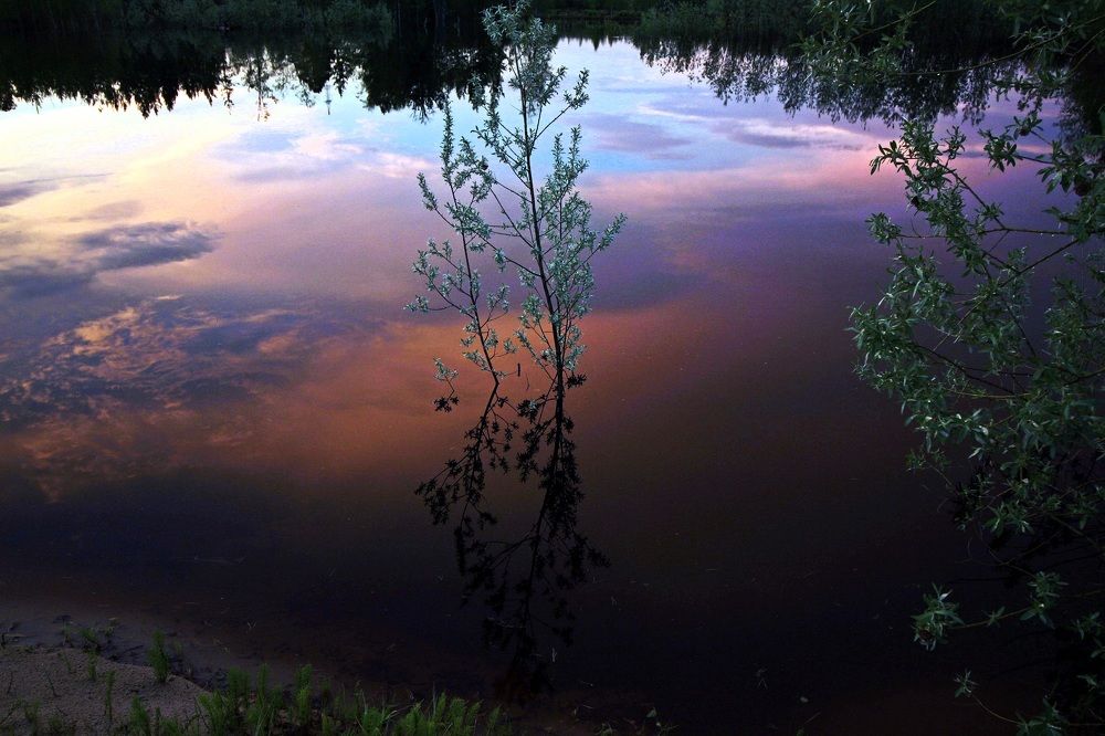 Photograph by Виктор Коршунов