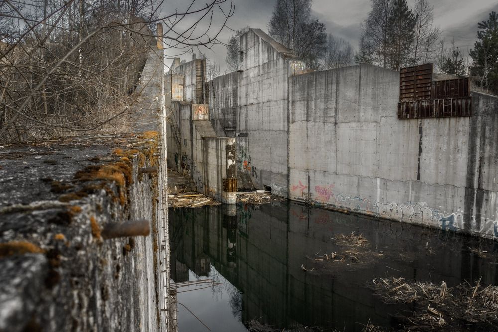 Фотография автора Сережа Сережин