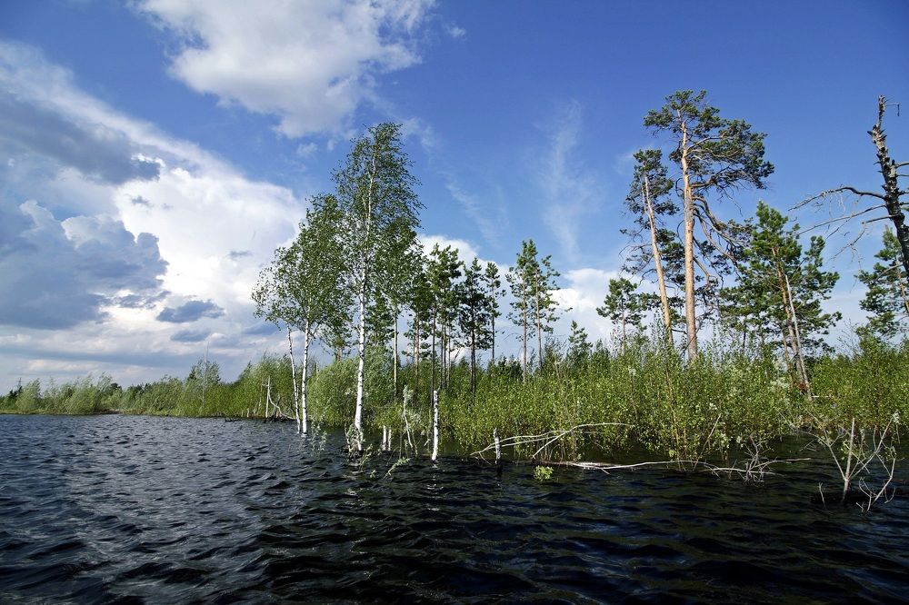 Photograph by Виктор Коршунов