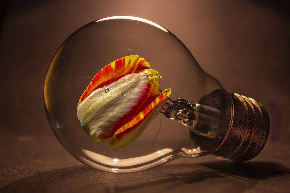 Фотография автора János Rábli