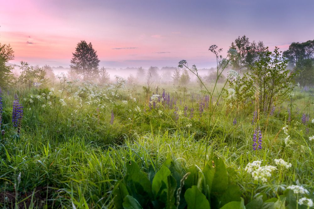 Фотография автора Сережа Сережин