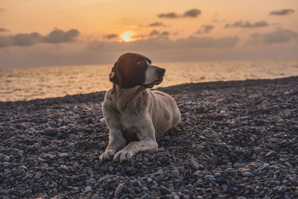 Photograph by Янина Найденцева