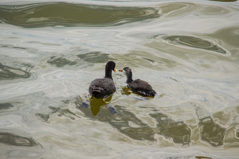 Photograph by Андрей Соколов