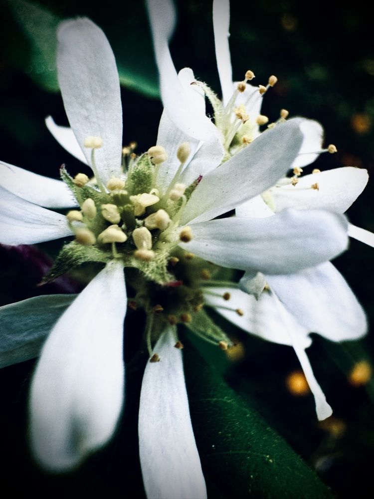 Photograph by Анатолий Абдалов