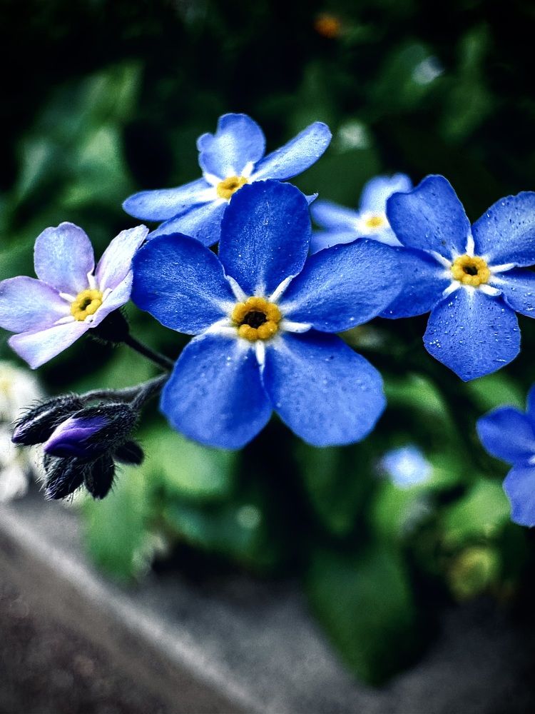 Photograph by Анатолий Абдалов