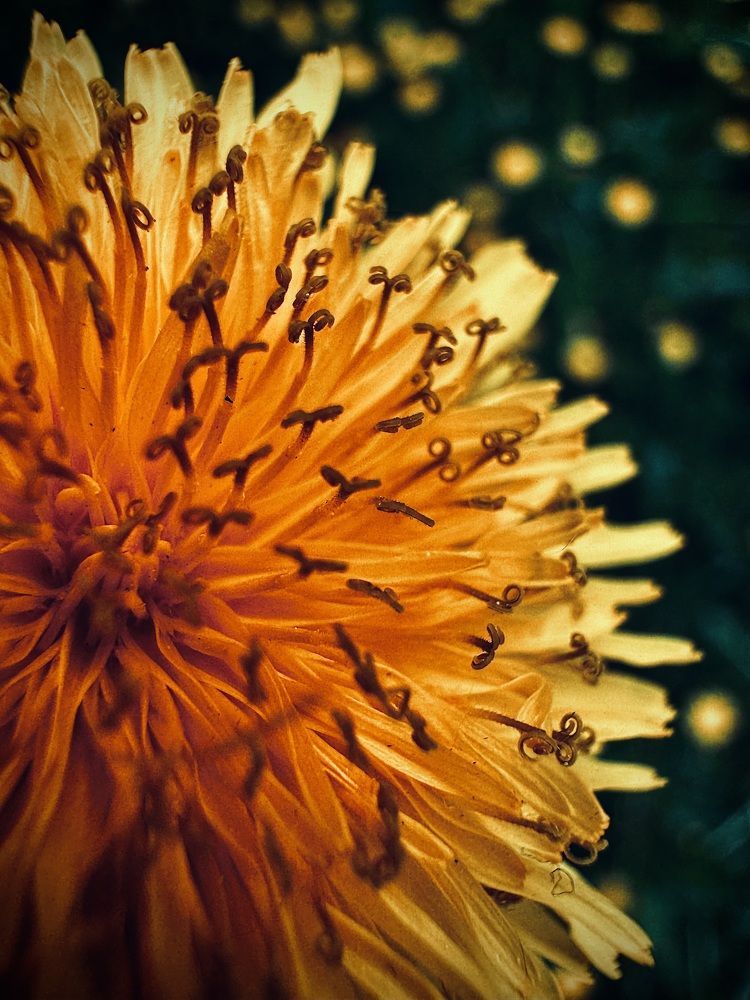 Photograph by Анатолий Абдалов