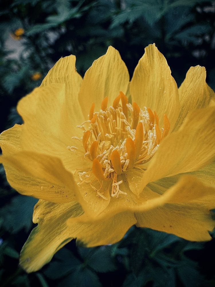 Photograph by Анатолий Абдалов