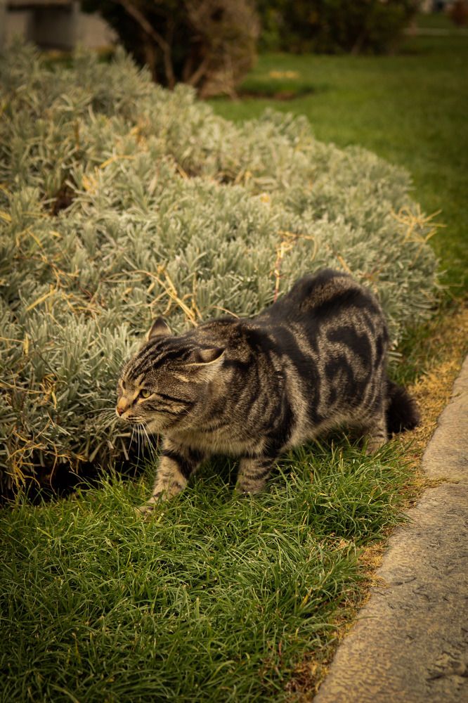 Photograph by asma dafeian