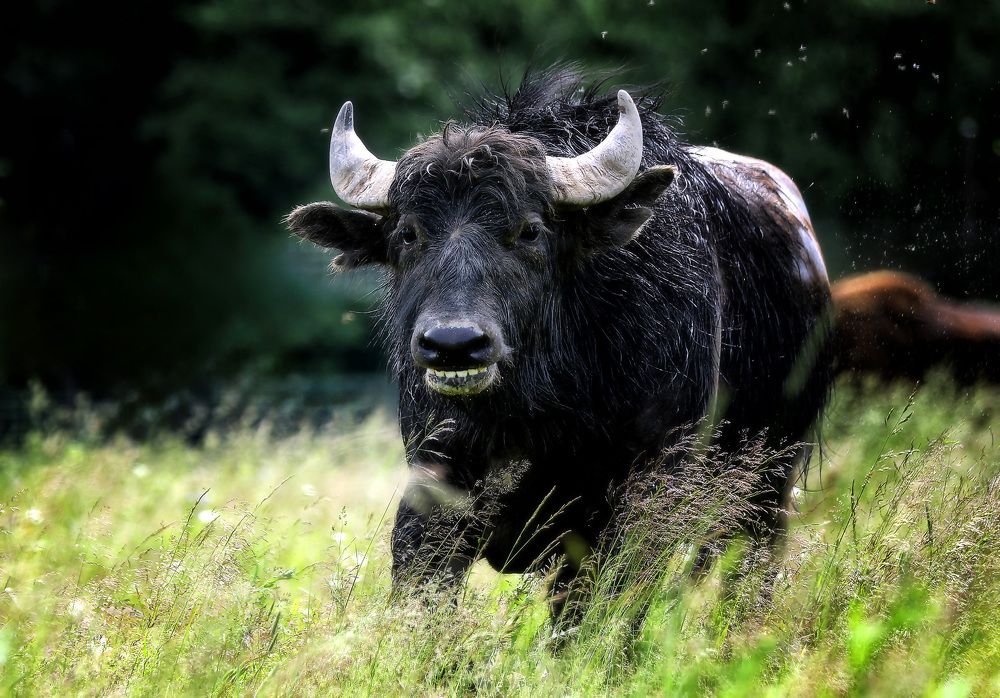 Photograph by Андрей Автухов